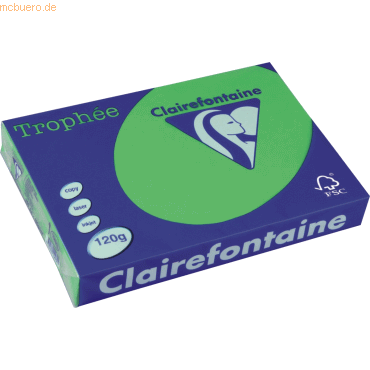 Clairefontaine Kopierpapier Trophee A4 120g/qm VE=250 Blatt minze/maig