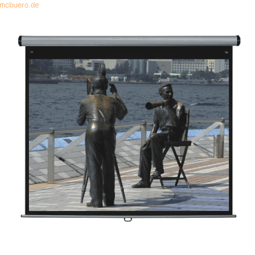 Medium Bildleinwand Design-Roll Electric IR HxB: 200x192cm Typ D