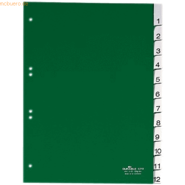 Durable Register A4 blanko 12-teilig grn