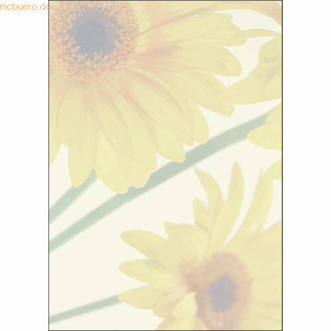 Sigel Designpapier Finesse A4 90g/qm VE=25 Blatt