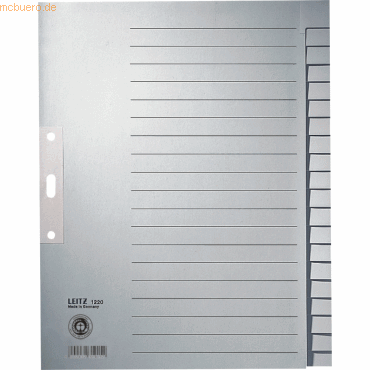 Leitz Register A4 blanko 100g/qm 20-teilig grau