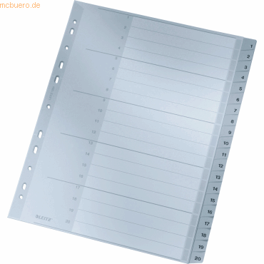 Leitz Register A4 1-20 PP grau mit Deckblatt