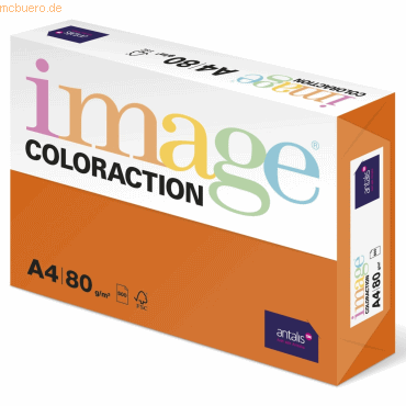 5 x Image Kopierpapier Image Coloraction Amsterdam 80g/qm A4 VE=500 Bl