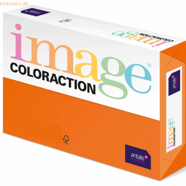 5 x Image Kopierpapier Image Coloraction Amsterdam 80g/qm A3 VE=500 Bl