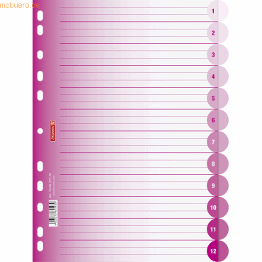 10 x Brunnen Register Colour Code A4 12-teilig PP blanko pink