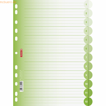 10 x Brunnen Register Colour Code A4 12-teilig PP blanko kiwi