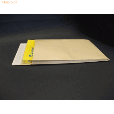 Blanke Faltentaschen 250x353x20mm B4 130g/qm haftklebend VE=250 St. br