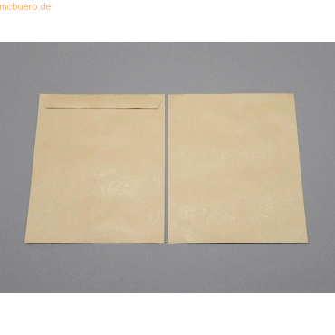 Blanke Versandtaschen 279x330mm 90g/qm gummiert VE=250 Stck braun
