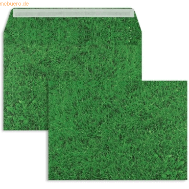 Blanke Briefumschlge C5 135g/qm haftklebend VE=125 Stck rasen