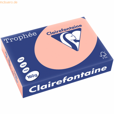 4 x Clairefontaine Kopierpapier Trophee A4 160g/qm VE=250 Blatt pfirsi