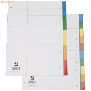 Connect Register A4 PP 10-teilig blanko farbig