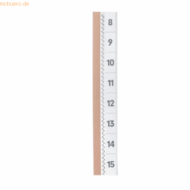 Durable Selbstklebereiter Tabfix 200x10 2-zeilig transparent VE=5 Stc