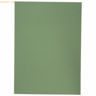 100 x Elba Aktendeckel Karton grün