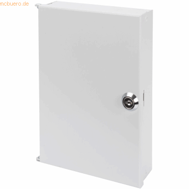 Assmann LWL-Wandverteiler, 200x150x55 mm mit Tür,ohne Adapterplatte