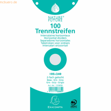 Exacompta Trennstreifen 10,5x24cm VE=100 Stck grau