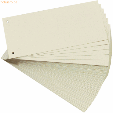 20 x Falken Trennstreifen 10,5 x 24cm 190g/qm Manila-RC-Karton VE=100