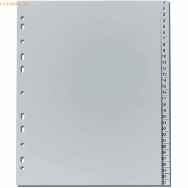 Falken Register A4 berbreite PP grau 1-31