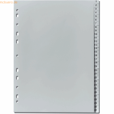 Herlitz Register A4 1-31 Kunststoff PP grau