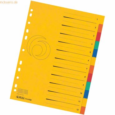 Herlitz Register A4 12-teilig Colorspan XXL