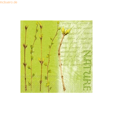 k.A. Servietten 33x33cm Natur VE=20 Stck