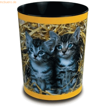 Lufer Papierkorb Motivposter 13 Liter Katzen im Stroh