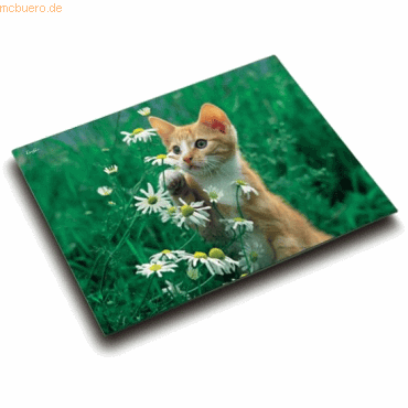Lufer Schreibunterlage Motiv-Poster 40x53 cm Katze mit Blume