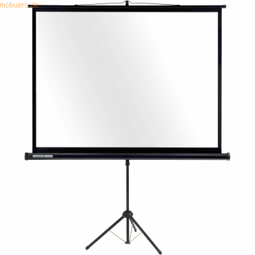 Legamaster Stativprojektionswand Economy mobile 1 Gain 160x120 cm