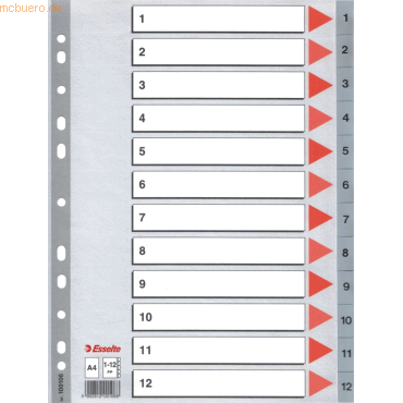 10 x Esselte Register A4 1-12 PP grau