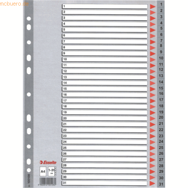 10 x Esselte Register A4 1-31 PP grau