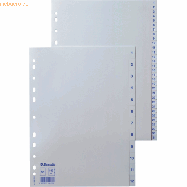 10 x Esselte Register A4 1-12 PP wei