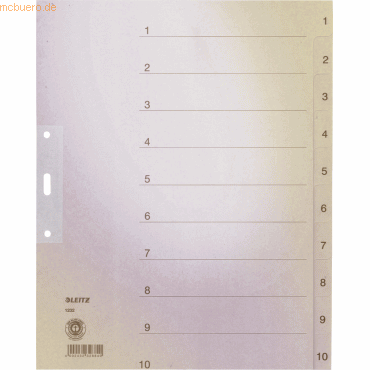 20 x Leitz Register A4+ Tauenpapier 1-10 grau