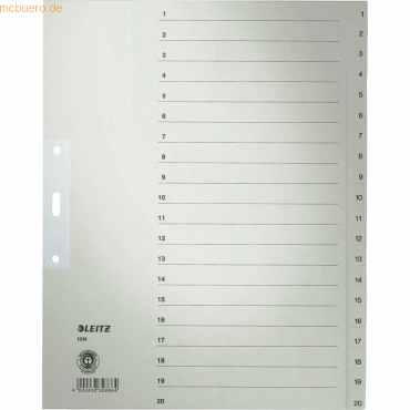 10 x Leitz Register A4+ Tauenpapier 1-20 grau