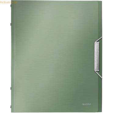 Leitz Ordnungsmappe Style A4 12 Fcher seladon grn