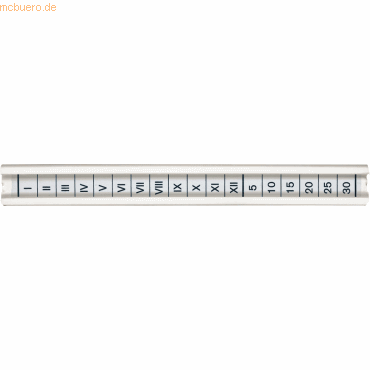 50 x Leitz Sichtleiste fr Pendelregistraturen 100mm mit Beschriftungs