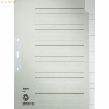 Leitz Papierregister A4 20-tlg. blanko grau