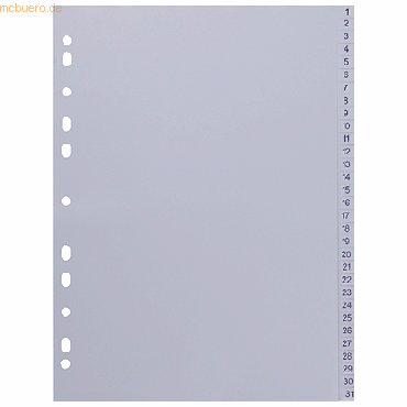 k.A. Register A4 PP 1-31 grau