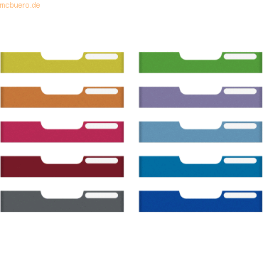 Exacompta Frontplatte Modulo A4 54mm farbig sortiert VE=10 Stck