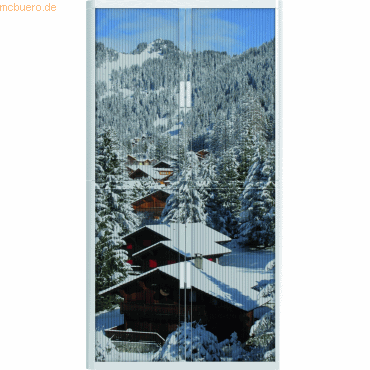 easyOffice Rollladenschrank easyoffice BxTxH 86x37,5x204cm Winterlands