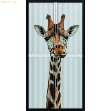 easyOffice Rollladenschrank easyoffice BxTxH 86x37,5x204cm Giraffe