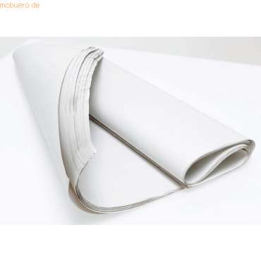 Papyrus Pergaminpapier 100x70cm 40g/qm transparent 500 Bogen