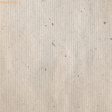 Papyrus Packpapier Packstoff AP1 80g/qm 75x100cm 100kg