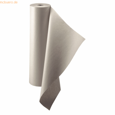 Papyrus Packpapier Packstoff AP1 100g/qm 750x1000 mm