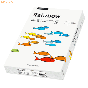 Papyrus Multifunktionspapier Rainbow A3 160 g/qm wei VE=250 Blatt
