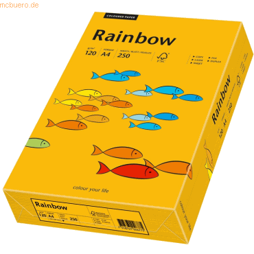 5 x Papyrus Multifunktionspapier Rainbow A4 120 g/qm mittelorange VE=2