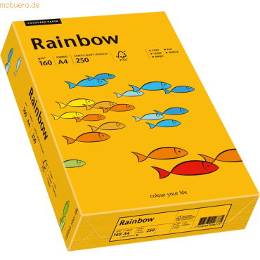 5 x Papyrus Multifunktionspapier Rainbow A4 160 g/qm mittelorange VE=2