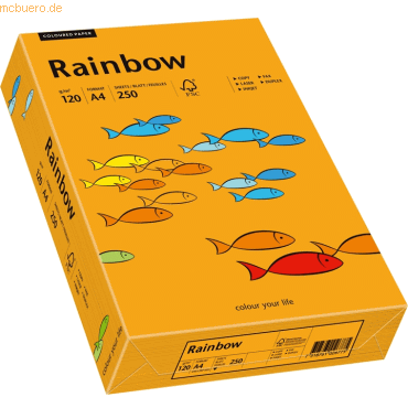 5 x Papyrus Multifunktionspapier Rainbow A4 120 g/qm orange VE=250 Bla