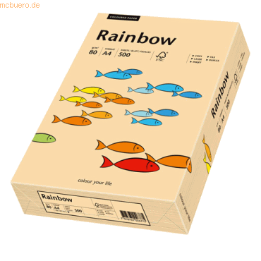 Papyrus Kopierpapier Rainbow Pastell A4 80g/qm VE=500 Blatt lachs