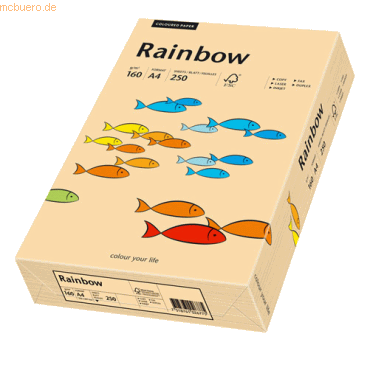 Papyrus Kopierpapier Rainbow Pastell A4 160g/qm VE=250 Blatt lachs