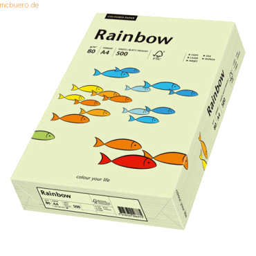 Papyrus Kopierpapier Rainbow Pastell A4 80g/qm VE=500 Blatt hellgrn