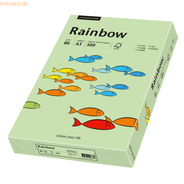 Papyrus Kopierpapier Rainbow Pastell A3 80g/qm VE=500 Blatt mittelgrn